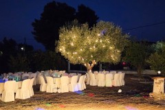 amalthia_catering-11